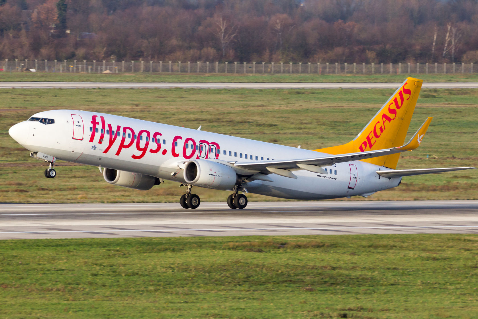 Бонусная карта pegasus airlines